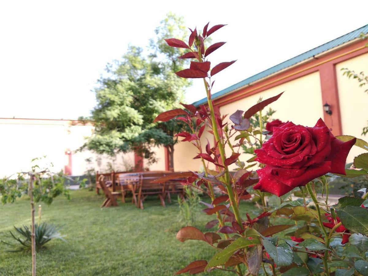 Chinor Garden Hotel - Free Airport Pick-Up And Drop-Off Tashkent Ngoại thất bức ảnh